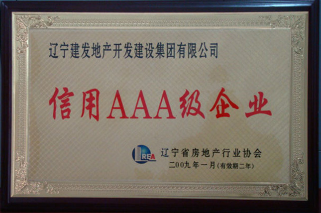 2009信用AAA级企业（开发）_副本_副本.jpg
